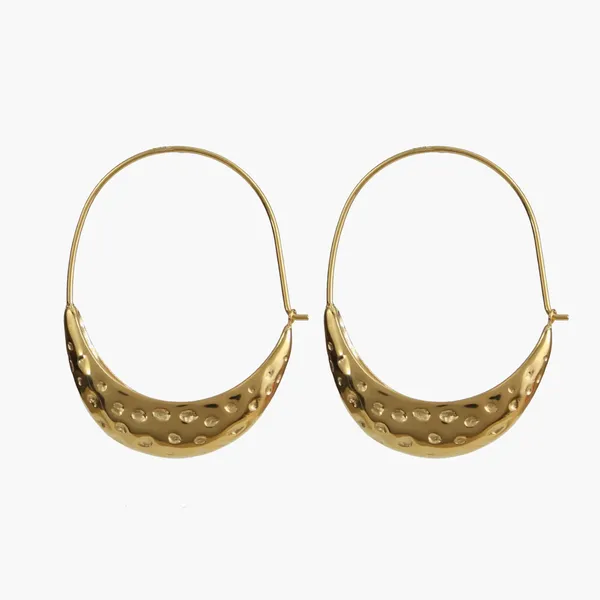 Golden_Stainless_Steel_And_Hypoallergenic_Coating_Earrings_For_Women